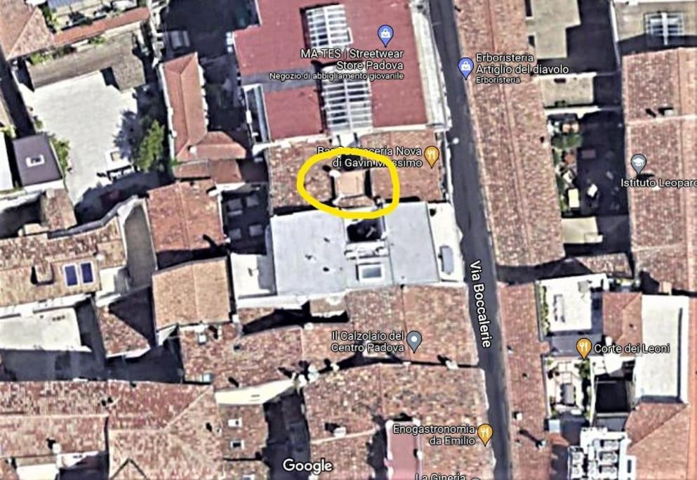 Residence Dei Frutti Pieno Centro - Il Cedro Padova Exterior photo